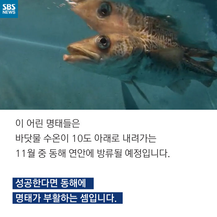 메인이미지  12 : 