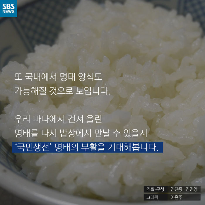 메인이미지  13 : 