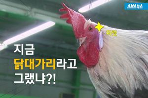 지금 닭대가리라고 그랬냐?