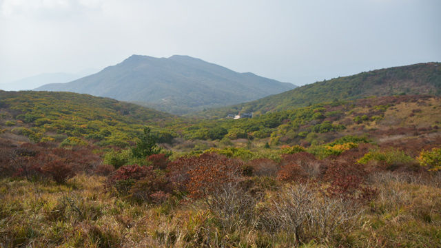 메인이미지  1 : 9일 본격적인 가을을 맞아 지리산 노고단 정상이 울긋불긋 물들기 시작했다. 아직 산아래는 짙은 초록빛으로 가득하지만 노고단에서 삼도봉으로 이어지는 정상부에는 제법 단풍이 들어 있다. 기상청에 따르면 올해 지리산의 단풍 절정시기는 10월 말이 될 것으로 보인다. (연합뉴스)