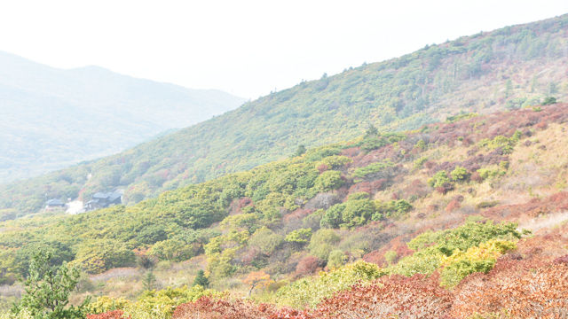 메인이미지  3 : 9일 본격적인 가을을 맞아 지리산 노고단 정상이 울긋불긋 물들기 시작했다. 아직 산아래는 짙은 초록빛으로 가득하지만 노고단에서 삼도봉으로 이어지는 정상부에는 제법 단풍이 들어 있다. 기상청에 따르면 올해 지리산의 단풍 절정시기는 10월 말이 될 것으로 보인다. (연합뉴스)