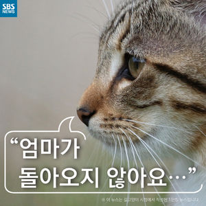 [카드뉴스] "엄마가 돌아오지 않아요"