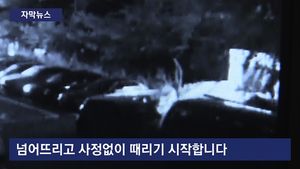 [자막뉴스] '퍽치기' 해놓고 폭행 신고한 10대들&hellip;CCTV에 덜미