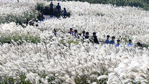 [슬라이드 포토] 제주 산굼부리 억새밭서 느끼는 가을 정취