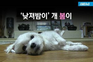 밤만 되면 이상행동 보이는 '애완견'&hellip;원인은?