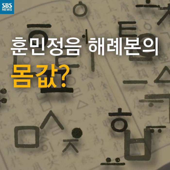 메인이미지  1 : 