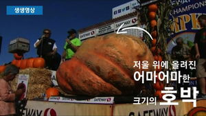 [생생영상] '893kg' 세계서 가장 큰 호박&hellip;우승 상금은?