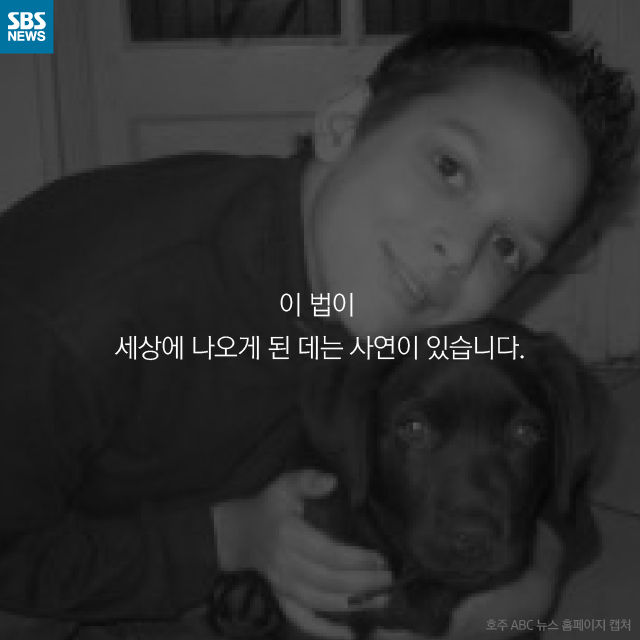 메인이미지  6 : 