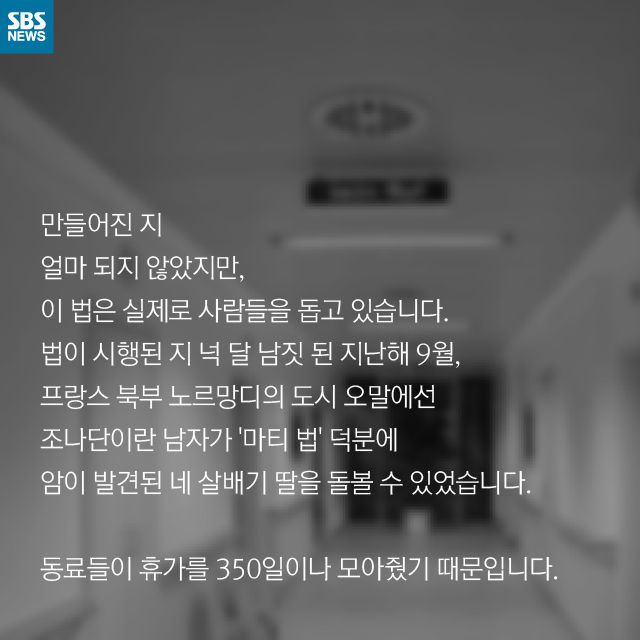 메인이미지  15 : 