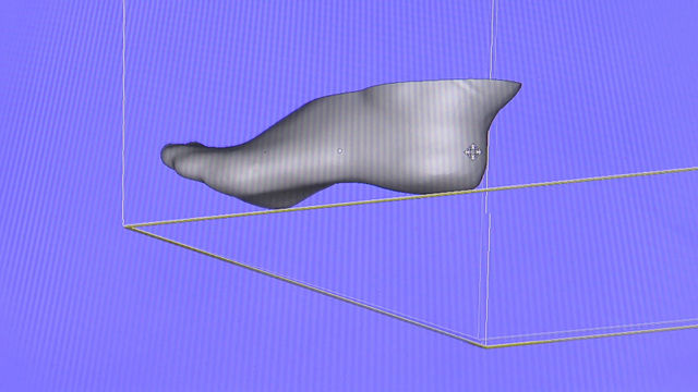 3D 스캐너로 발을 스캔한 모습