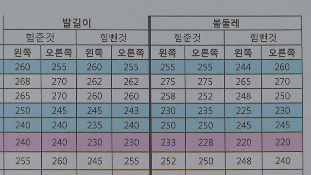 조박사 자료 수치