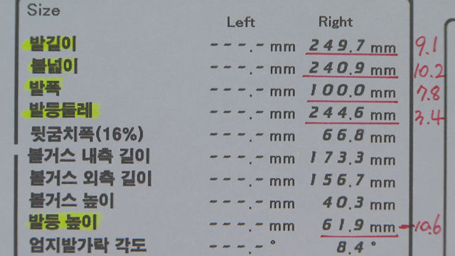 백대표 자료 수치 대비