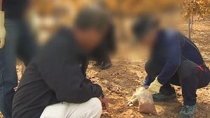전국 주유소&middot;산업시설 205곳 토양 오염 우려