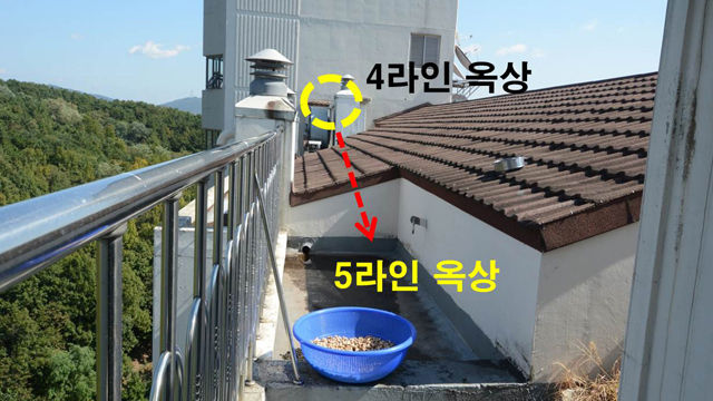 메인이미지  1 : 경기 용인 '캣맘' 벽돌 사망사건의 용의자는 아파트 옥상에서 '낙하속도 실험'을 한 같은 아파트 단지에 거주하는 초등학생인 것으로 16일 밝혀졌다. A(10)군은 당시 해당 동 아파트 3∼4호 라인의 옥상으로 올라가 벽돌을 주워 5∼6호 라인으로 넘어간 뒤 벽돌 낙하 실험을 했다고 진술한 것으로 전해졌다. 사진은 사건 현장인 아파트 옥상.