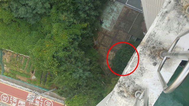 메인이미지  4 : 용인 '캣맘' 벽돌 사망사건 용의자가 검거된 16일 오후 사건이 발생한 경기도 용인시의 한 아파트 옥상 벽돌 투척지점에서 바라본 사건 현장(붉은 원) 모습.