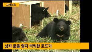 [그때뉴스] 10년 전 집으로 돌아간 반달가슴곰 로드&middot;카이&hellip;'잘 지내고 있을까?'