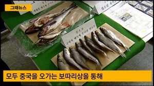 [그때뉴스] 생선 상자에 짖어대는 탐지견&hellip;굴비 뱃속서 나온 하얀가루
