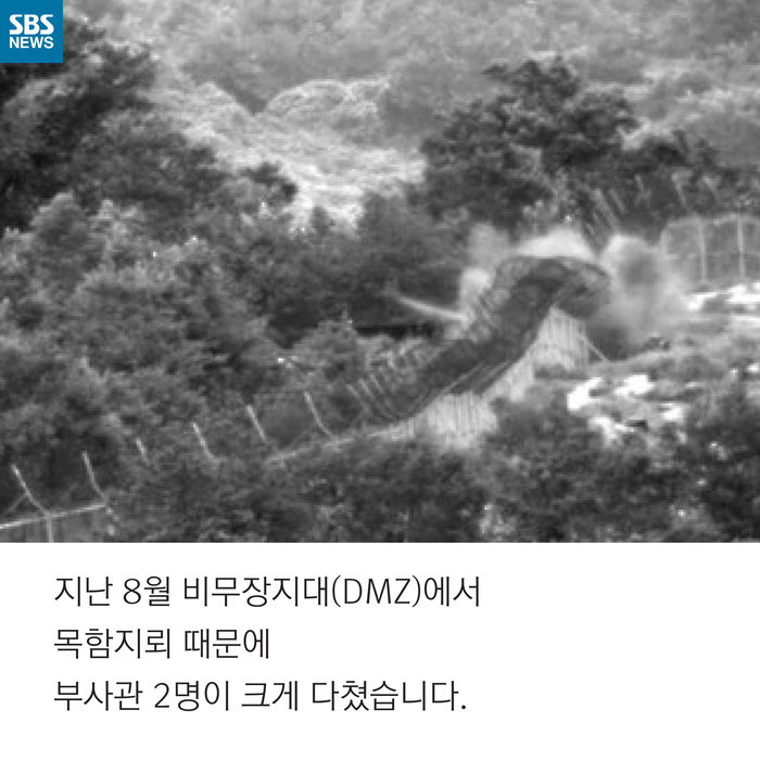메인이미지  3 : 