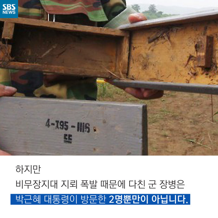 메인이미지  6 : 