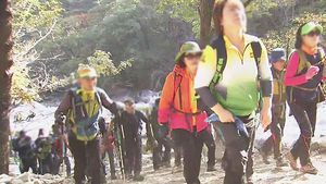 해뜨기 전부터 '북적'&hellip;단풍 보려고 9만 명 몰렸다