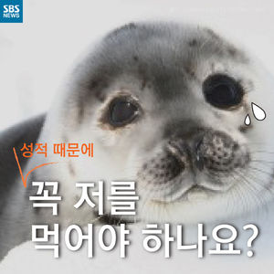 [카드뉴스] 꼭 저를 먹어야 하나요?