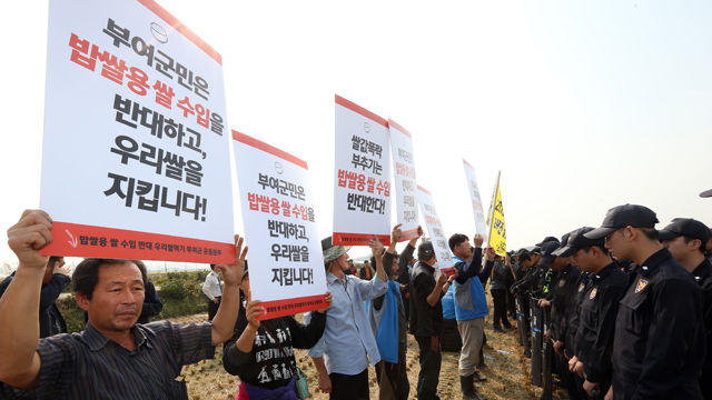 메인이미지  6 : 19일 오후 충남 부여군의 추수가 끝난 논에서 열린 이모작 가을파종 시연회에서 밥쌀용 쌀 수입반대 우리쌀먹기 운동본부 소속 부여와 서천 농민들이 밥쌀용 쌀 수입 반대 시위를 벌이고 있다. 이들은 이날 참석예정이었던 농식품장관에게 항의하기 위해 행사장을 찾았다.