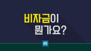 [모션그래픽] 비자금이 뭔가요?