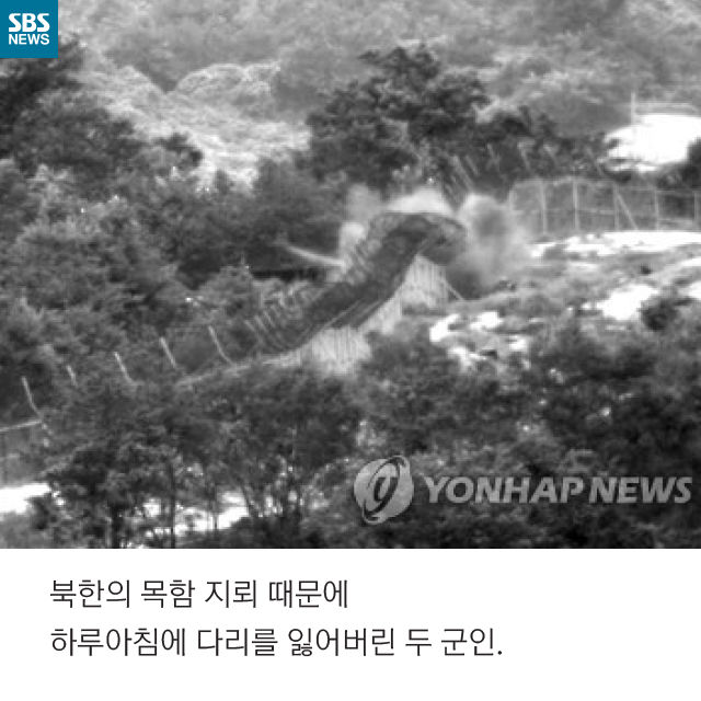 메인이미지  2 : 