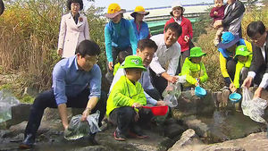 '1급수' 분당 운중천에 토종 민물고기 방류