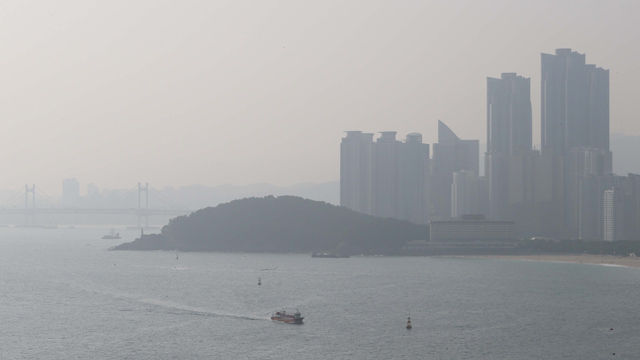 메인이미지  2 : 부산에서 기장군을 제외하고 전역에 이틀째 초미세먼지(PM2.5) 주의보가 내려졌다. 21일 해운대해수욕장과 동백섬, 마린시티, 광안대교가 뿌연 모습을 보이고 있다. (부산=연합뉴스)