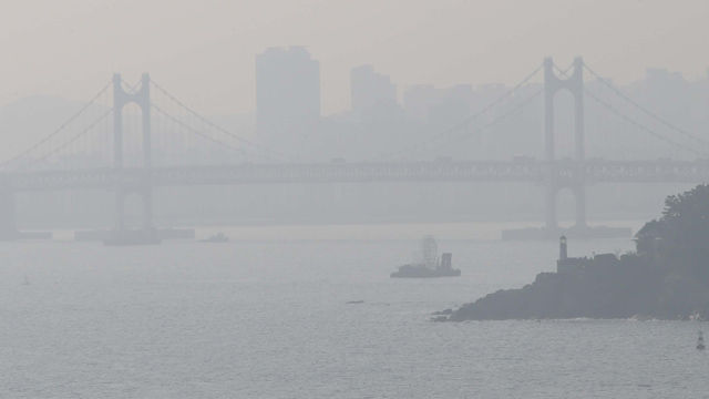 메인이미지  3 : 부산에서 기장군을 제외하고 전역에 이틀째 초미세먼지(PM2.5) 주의보가 내려졌다. 21일 해운대해수욕장과 동백섬, 마린시티, 광안대교가 뿌연 모습을 보이고 있다. (부산=연합뉴스)