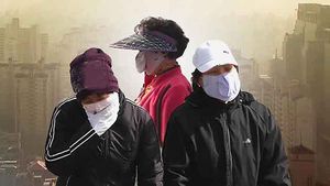 연일 뿌연 하늘&hellip;미세먼지에는 어떤 물질이?