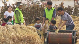 [수도권] 이천 '쌀문화 축제' 개막&hellip;먹거리 풍성