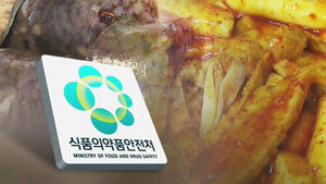 순대&middot;떡볶이 식품안전인증 의무화 놓고 '왁자지껄'