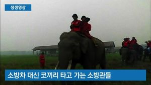 [생생영상] 소방차 들어가기 힘들어&hellip;코끼리 타고 화재 진압