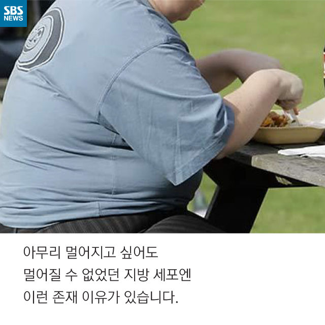 메인이미지  11 : 