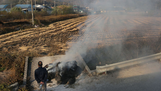 메인이미지  8 : 28일 경기도 포천시 영중면 로드리게스 훈련장(영평사격장) 앞에서 '포천시 사격장 등 군 관련시설 범시민 대책위원회'가 볏짚을 태워 봉화 시위를 벌이고 있다. 범대위는 영평사격장 야간사격 중지와 안전대책 마련을 촉구했다. (포천=연합)