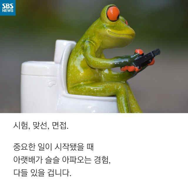 메인이미지  2 : 