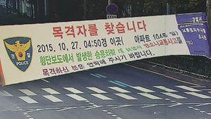 사람 들이받고 '줄행랑'&hellip;머리카락 한 줌에 덜미