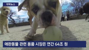 [자막뉴스] 놀아주고 돌봐주는 첨단기술&hellip;애완동물 IT 경쟁