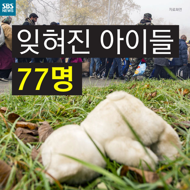 메인이미지  1 : 
