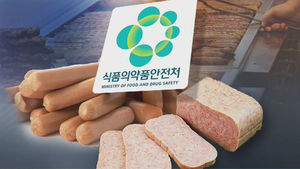 "한국인 가공육 섭취량, 우려할 수준 아냐"