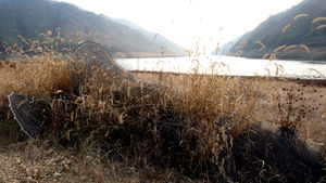 [슬라이드 포토] 맨바닥 드러낸 소양호&hellip;잡초만 무성