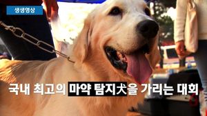 [생생영상] 최고의 '개코' 찾아라!&hellip;특급 마약 탐지견은 누구?