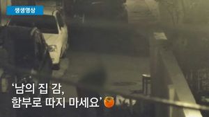 [생생영상] 한밤중 담 타넘은 도둑&hellip;남의 집 '감 서리' 포착