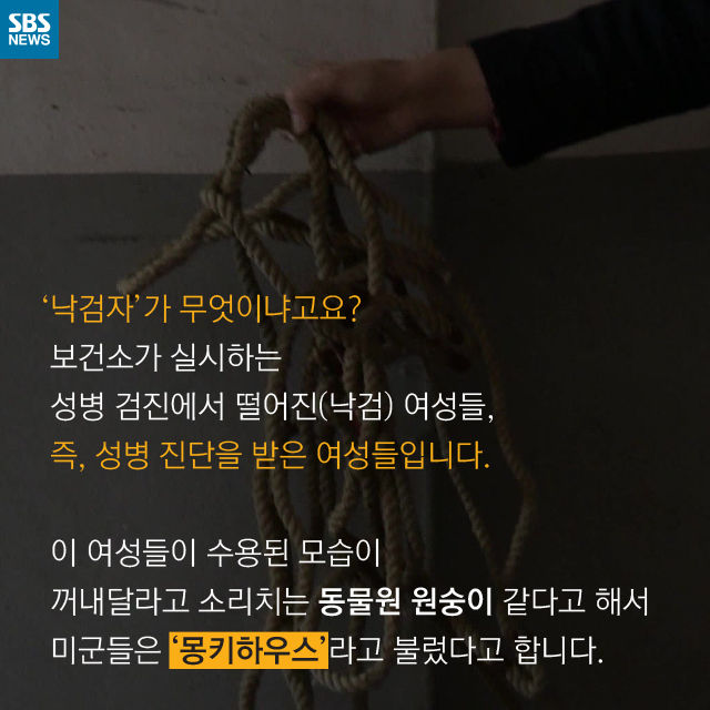 메인이미지  5 : 