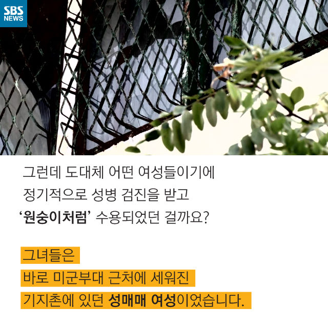 메인이미지  6 : 