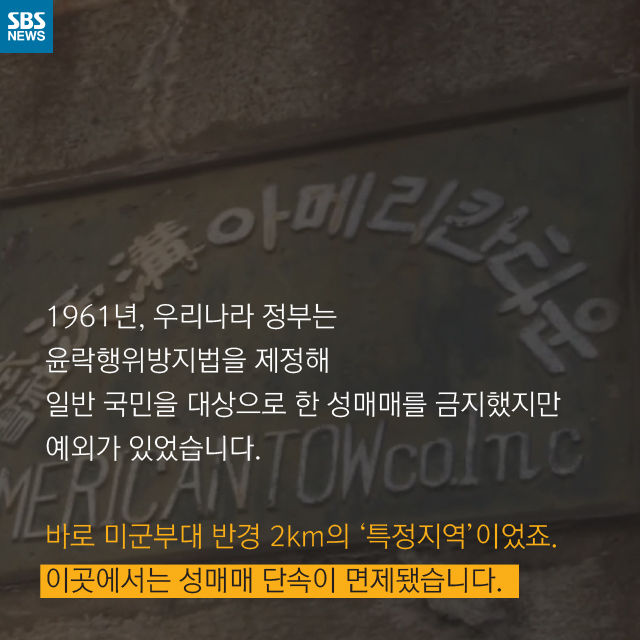 메인이미지  7 : 