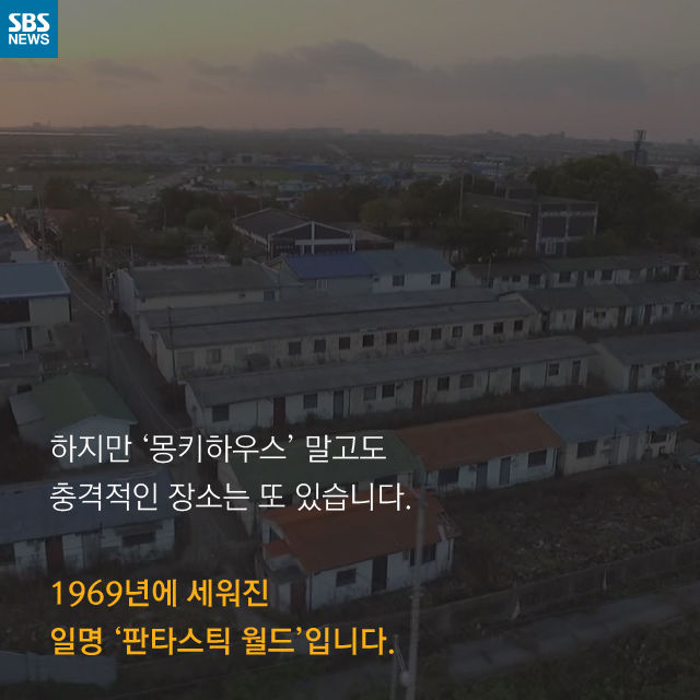 메인이미지  12 : 