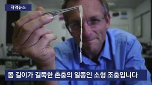 [자막뉴스] 사람 몸에 들어가 암 퍼뜨리는 기생충&hellip;첫 발견